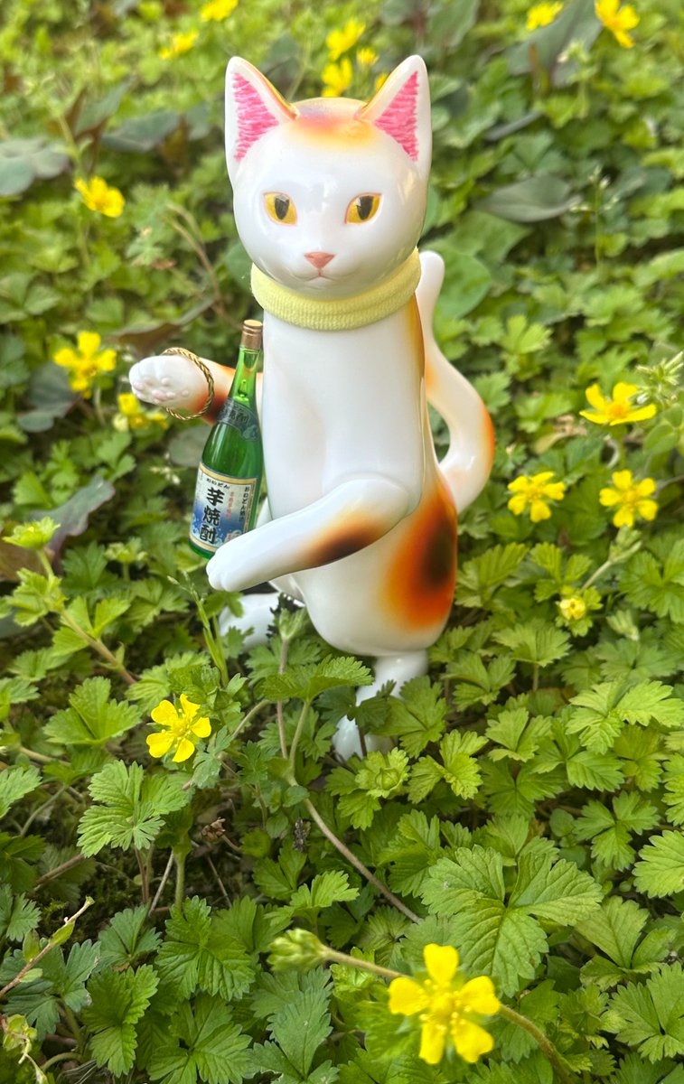 fuminoc0's tweet photo. #宇珠トイズ
#宇珠猫 https://t.co/5ri4RX5U3K