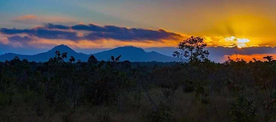 Islavisión tweet media