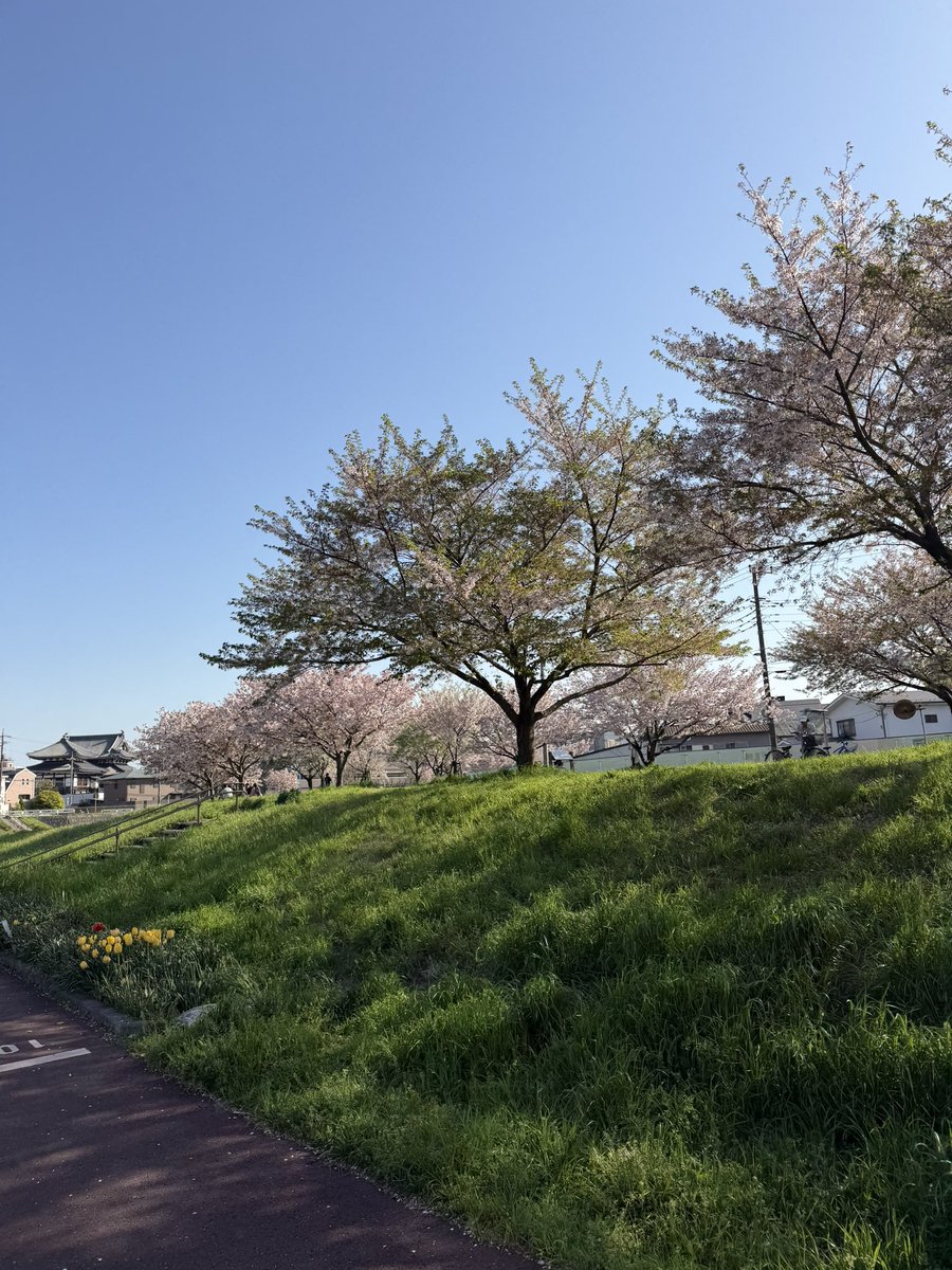 いっちゃん tweet media