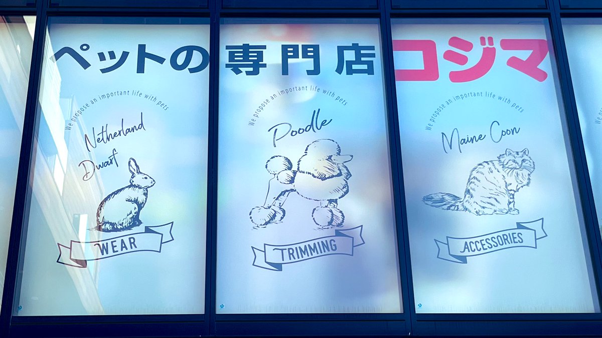 プードルちゃん tweet media