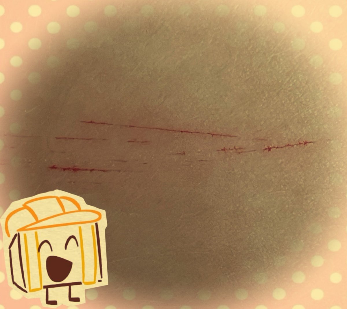 trophy of #shtwt tweet media