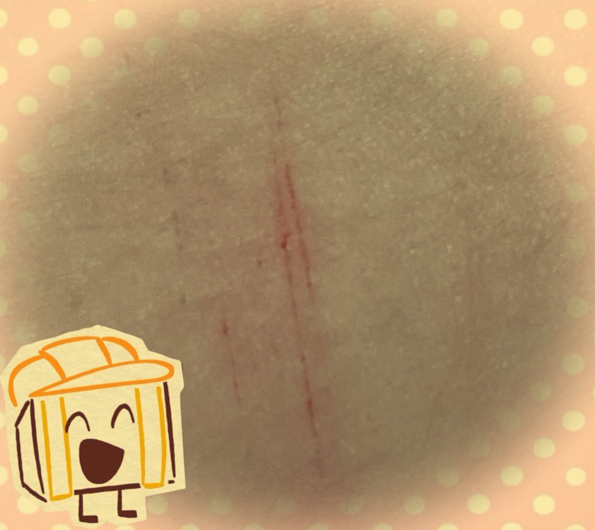 trophy of #shtwt tweet media