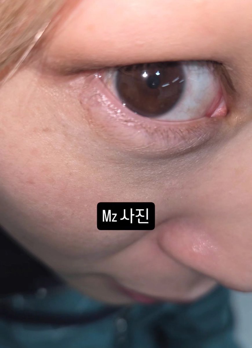 ⋆.˚ bia tweet media