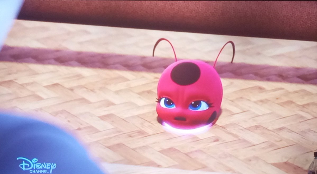 Myna Just Myna ✨ #MiraculousLadybug tweet media