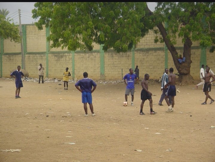 Human Mind 🧠 tweet media