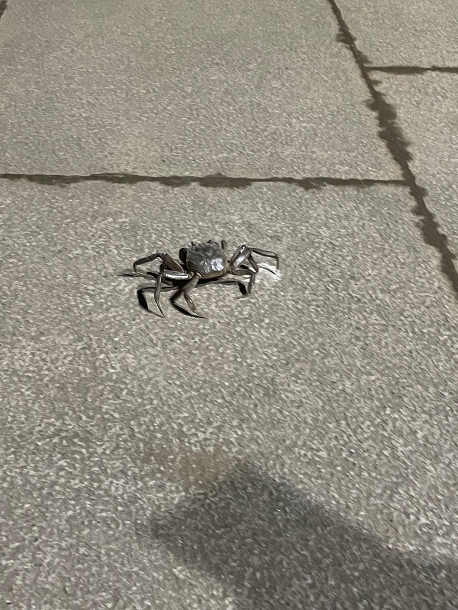 🍨인절미🍨 tweet media