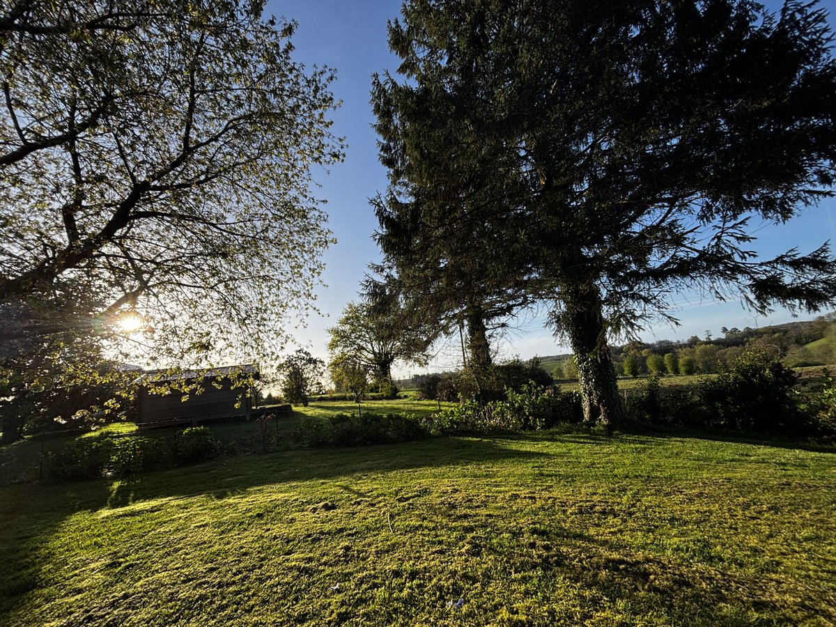 Carole Quintaine tweet media