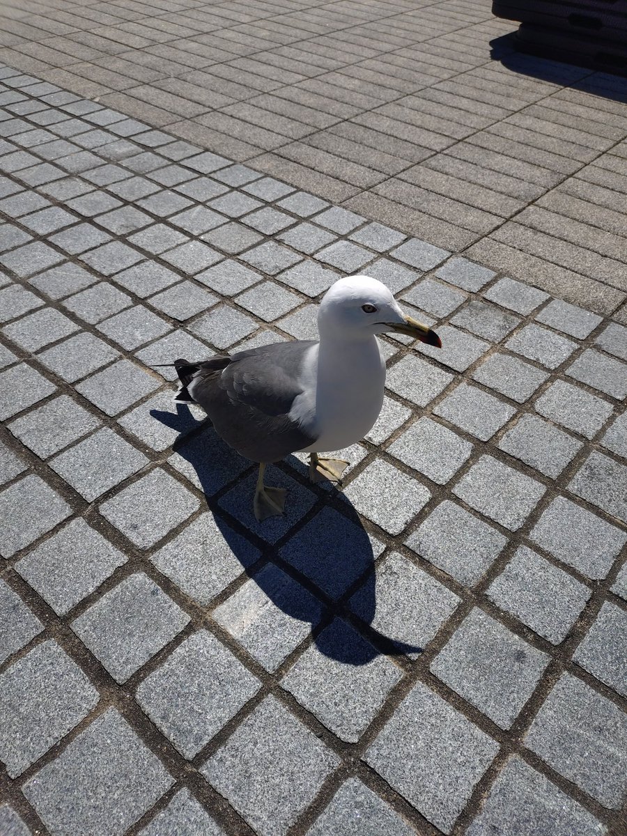 ナカ(なか) tweet media