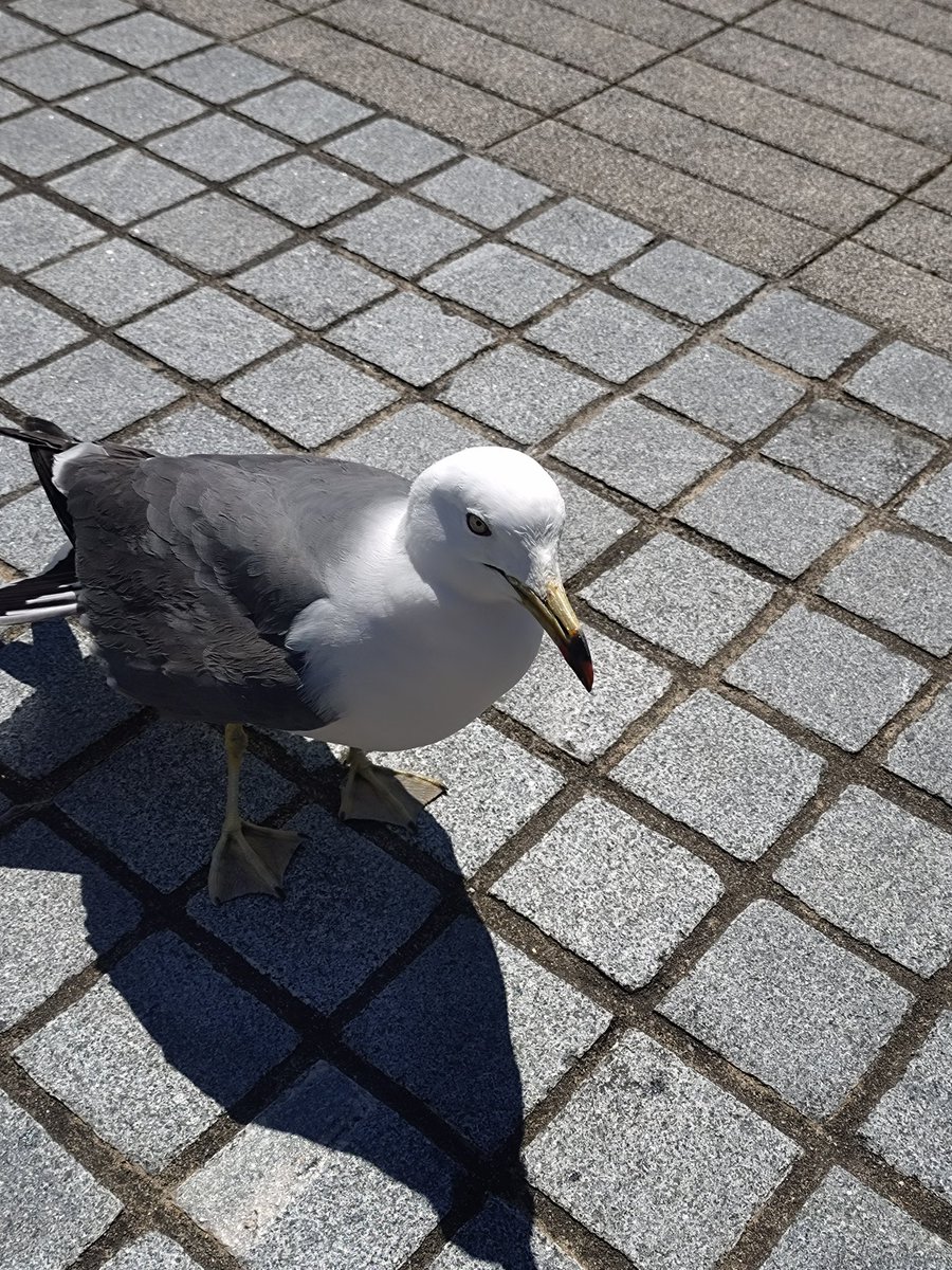 ナカ(なか) tweet media