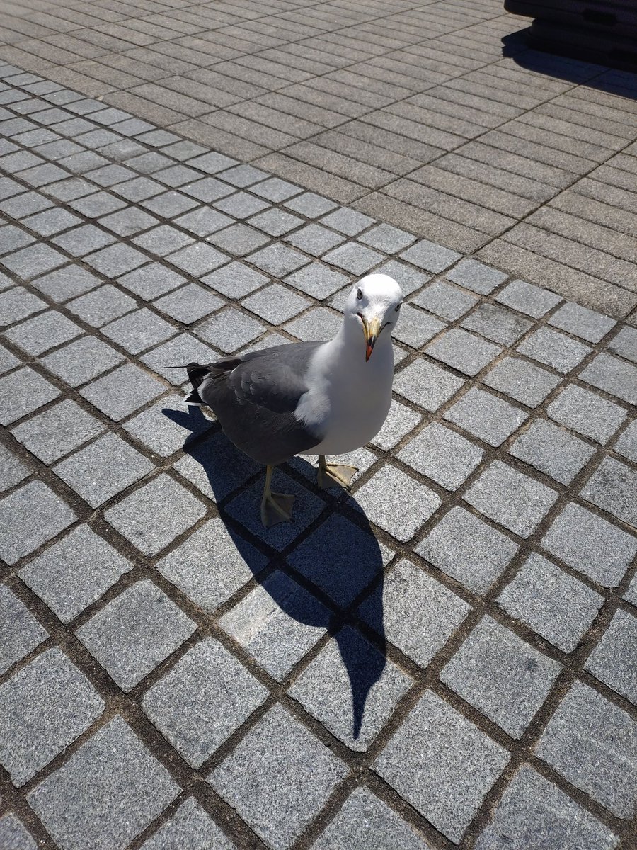 ナカ(なか) tweet media