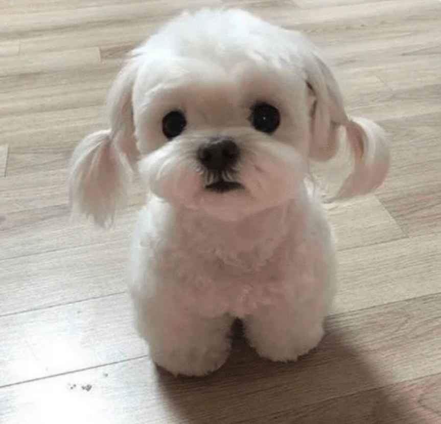 𝑱.𝑪𝒓𝒆𝒘 tweet media