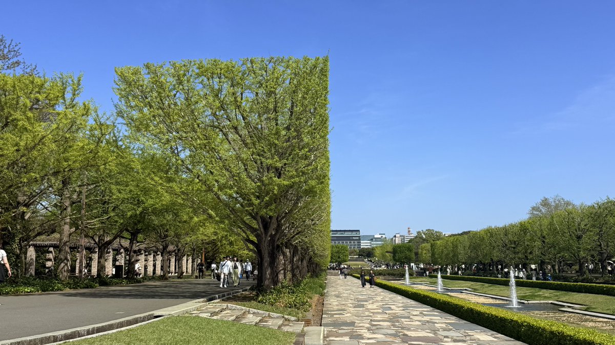 hasyagu/燥ぐ tweet media