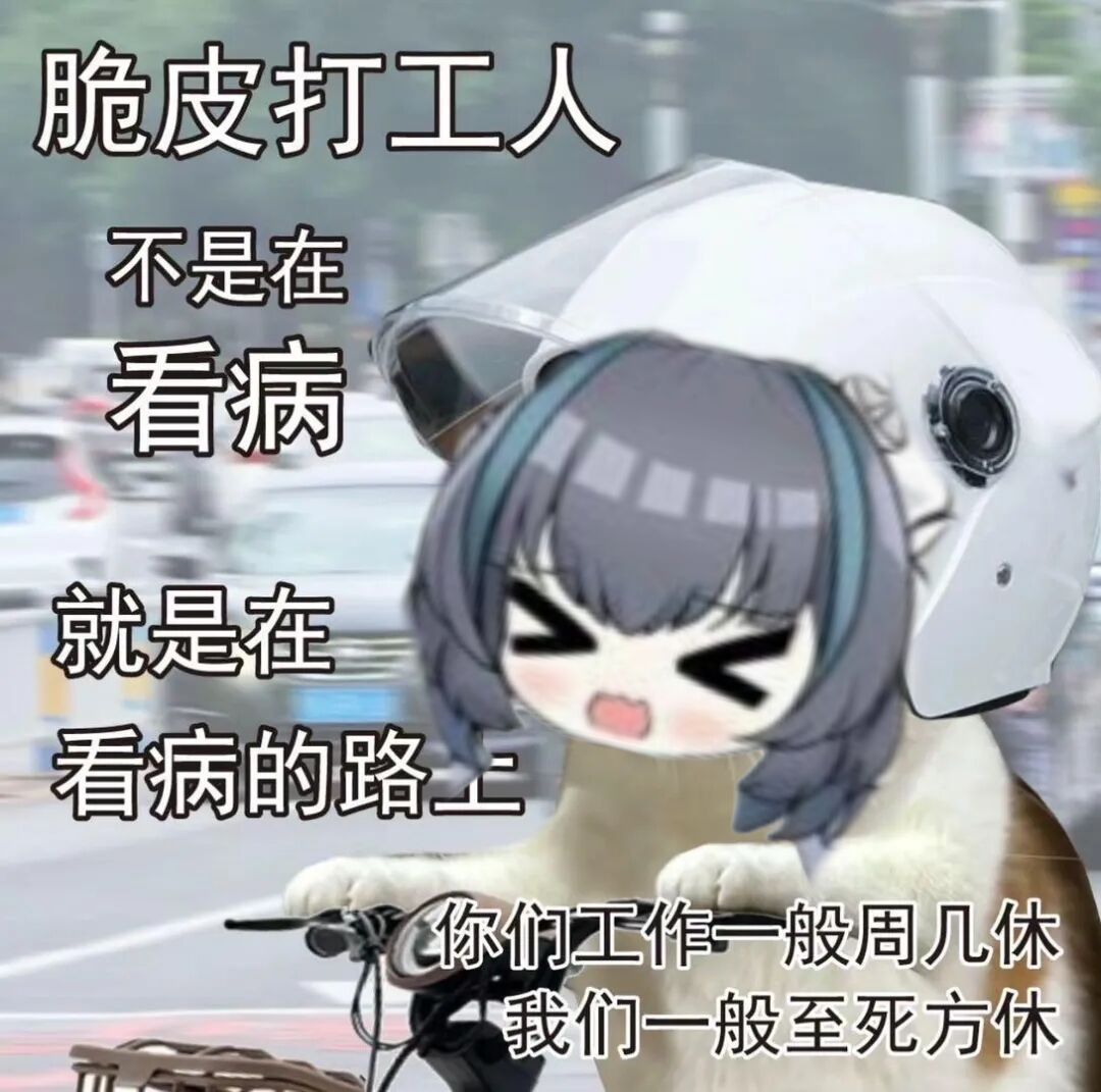 嗨der哥儿 tweet media