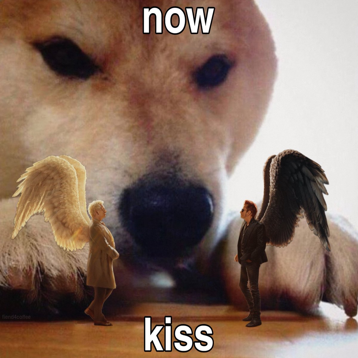 davina 🎸 fiend4coffee tweet media