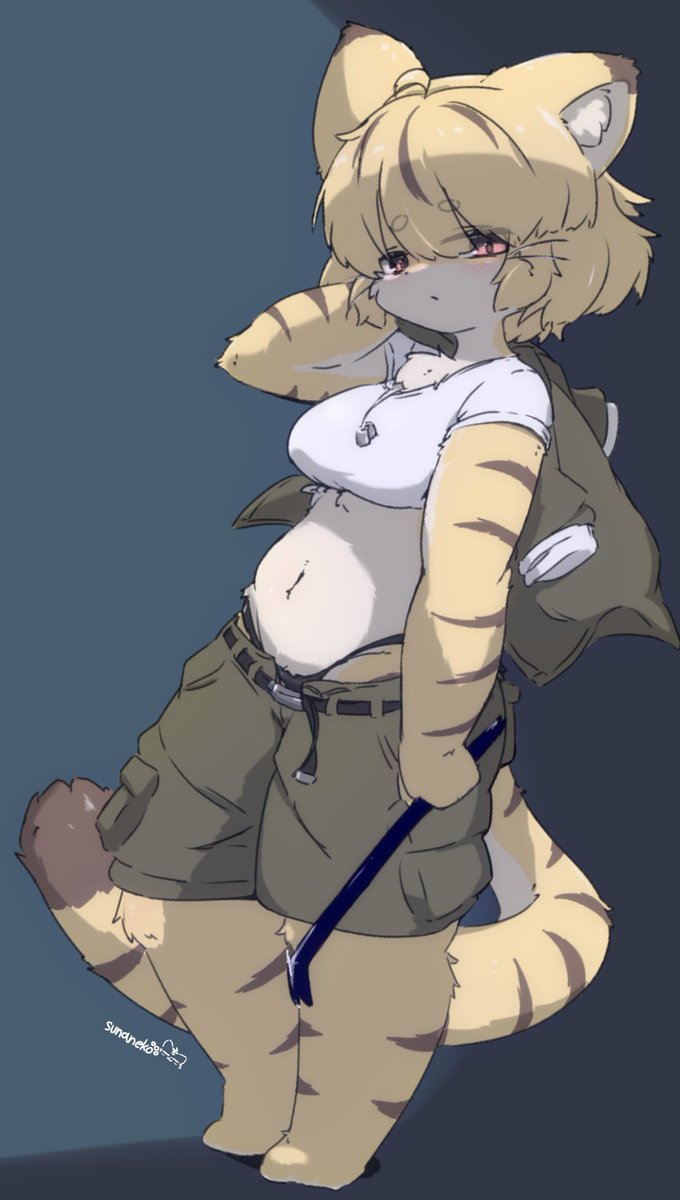 スナネコ技術試験中尉 tweet media