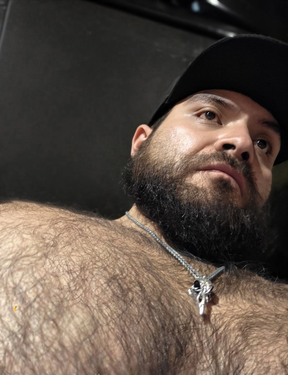 El Peluchoso. 🐻 tweet media