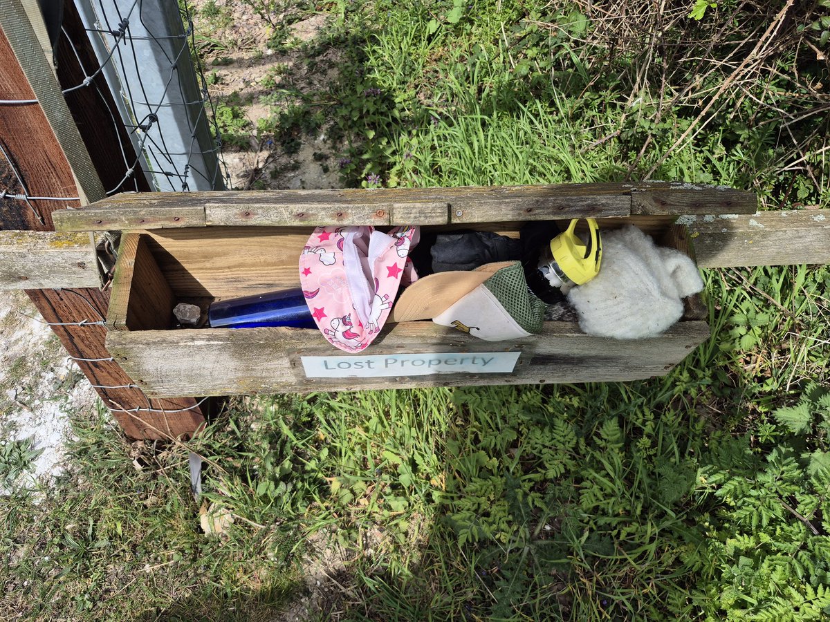 MagogDown's tweet photo. By the looks of it you'll be getting thirsty/cold/sunburnt unless you come and retrieve these! Lost property @MagogDown https://t.co/h4FB8lkDbb