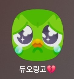 듀오링고 이새끼 왜 울고있냐 
내가 매일매일해주쟈나!!!!!