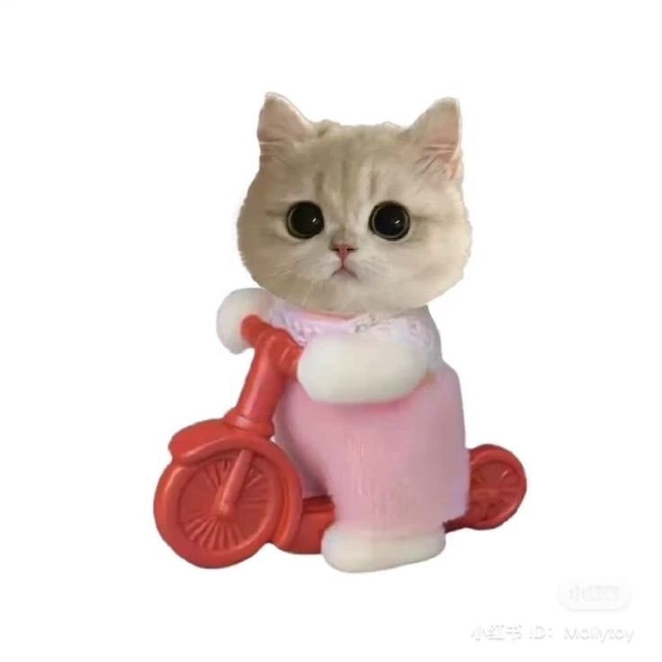 everyholic tweet media