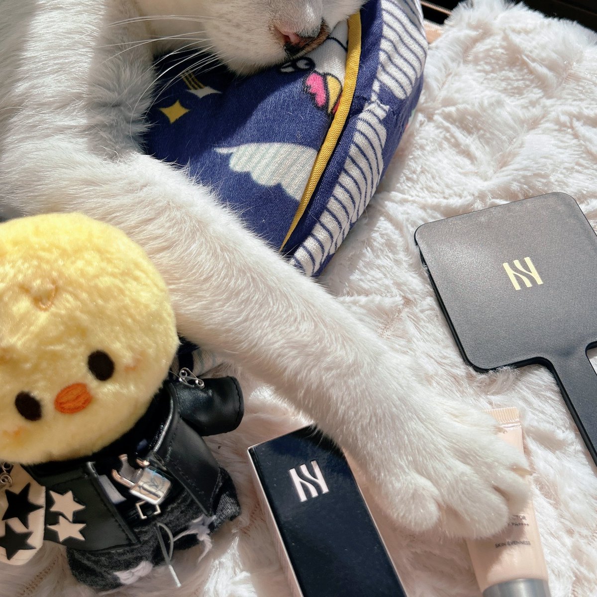 ごぼうまき tweet media