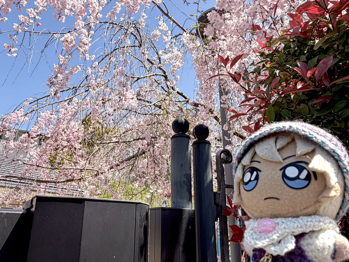 yongorock's tweet photo. ハイウェイ観てきた（肉吸いたべたぬ） https://t.co/d8R0LxW4tU