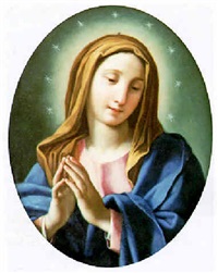 ドラゴ tweet media