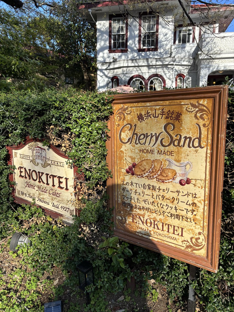 s_victorian's tweet image. 🫖えの木てい🇯🇵
　ストレートティー（ダージリン） 🇮🇳☕️

ダージリンと桜シフォン

初夏の爽やかな風を感じながら

#紅茶
#teatime
#木漏れ日のお茶会
#茶好連
#えの木てい