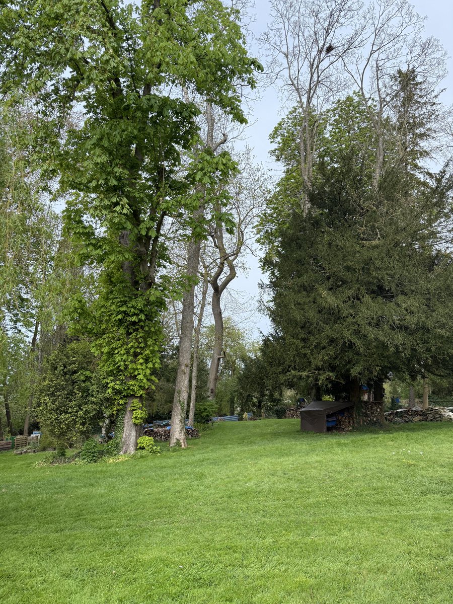 David Harris 🇫🇷🇬🇧 tweet media