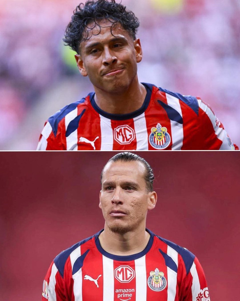 Ledezmismo tweet media