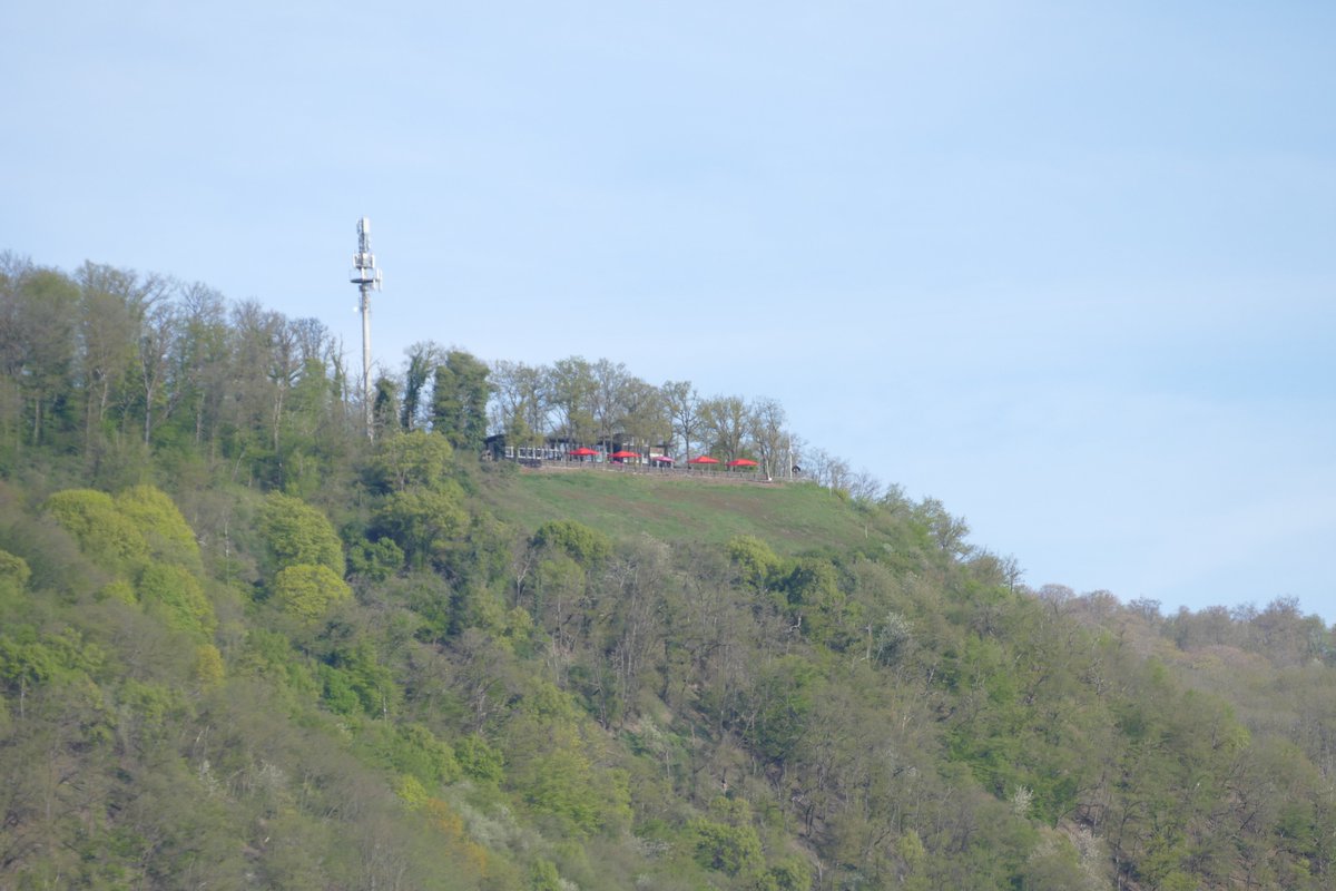 Guten Morgen ihr Lieben, 👋☕️💛😘
wünsche euch einen wunderschönen Tag. Passt auf euch auf und bleibt gesund. Den Kranken wünsche ich eine vollständige und schnelle Genesung.

So ein richtiges Sonntagswetter ist das nicht, es ist bewölkt und frisch. Mal sehen wie es noch wird.