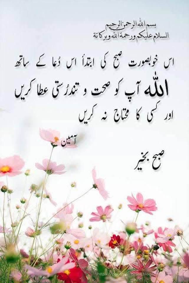 Rana Amar tweet media