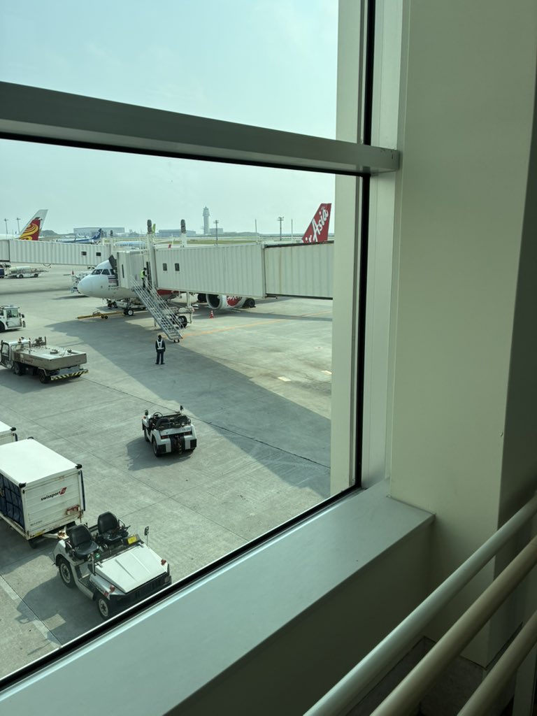 プチレア tweet media