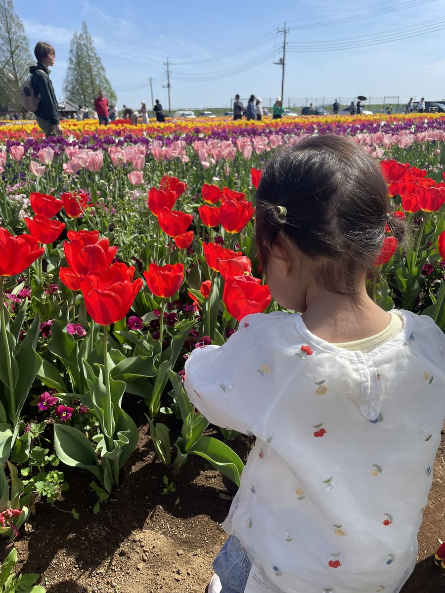 ぽちゃこ☺︎10.17👶🏻🎀 tweet media