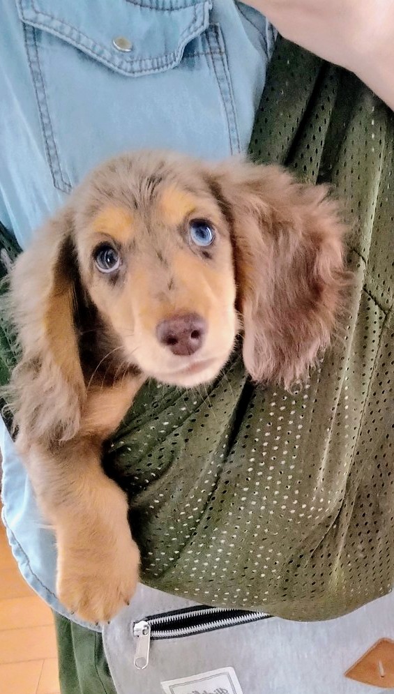 tubo Uo･ｪ･oU 🦊 tweet media