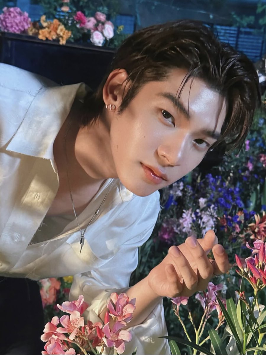 STARLIGHT TEAM tweet media