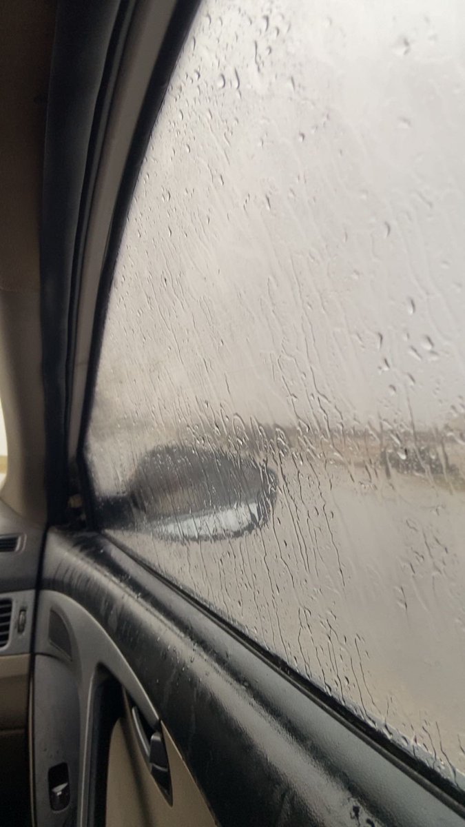 ff_fatima_'s tweet photo. صباح الأمطار والآجواء الجميلة🌨️🌱

#مطر_الصباح
 #صباحكم https://t.co/5W4FU7d11R