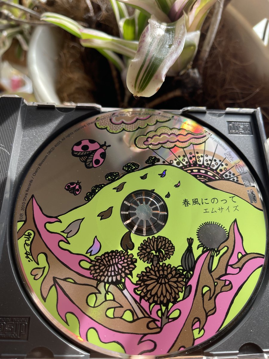 meg-micro &ソラネコ本舗　4月19日　結びの市（奈良・大神神社の🅿️横）出店 tweet media