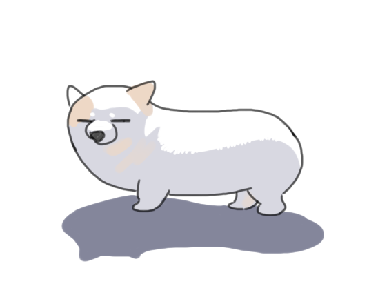 天宮 (@fjfjf) on Twitter photo 