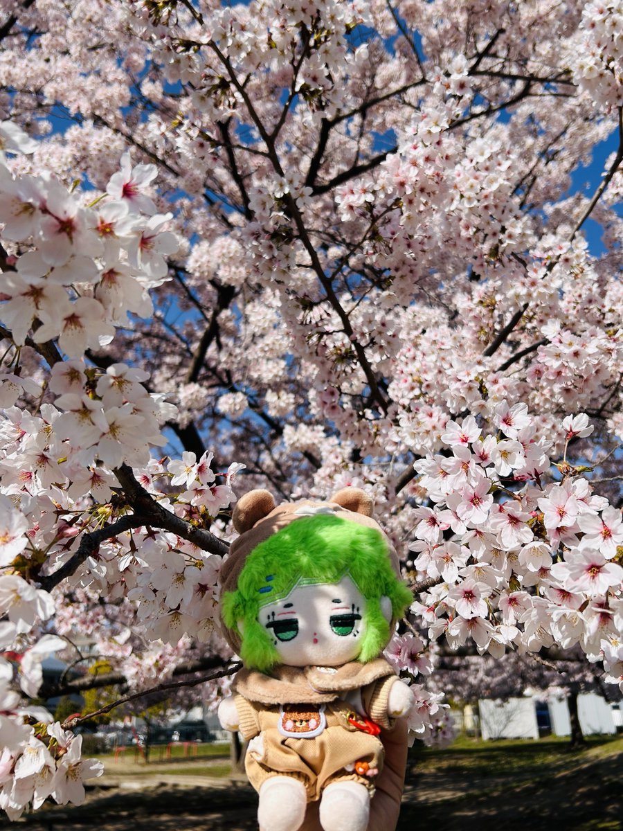 かよ✨✨🧟✨✨ヰ tweet media