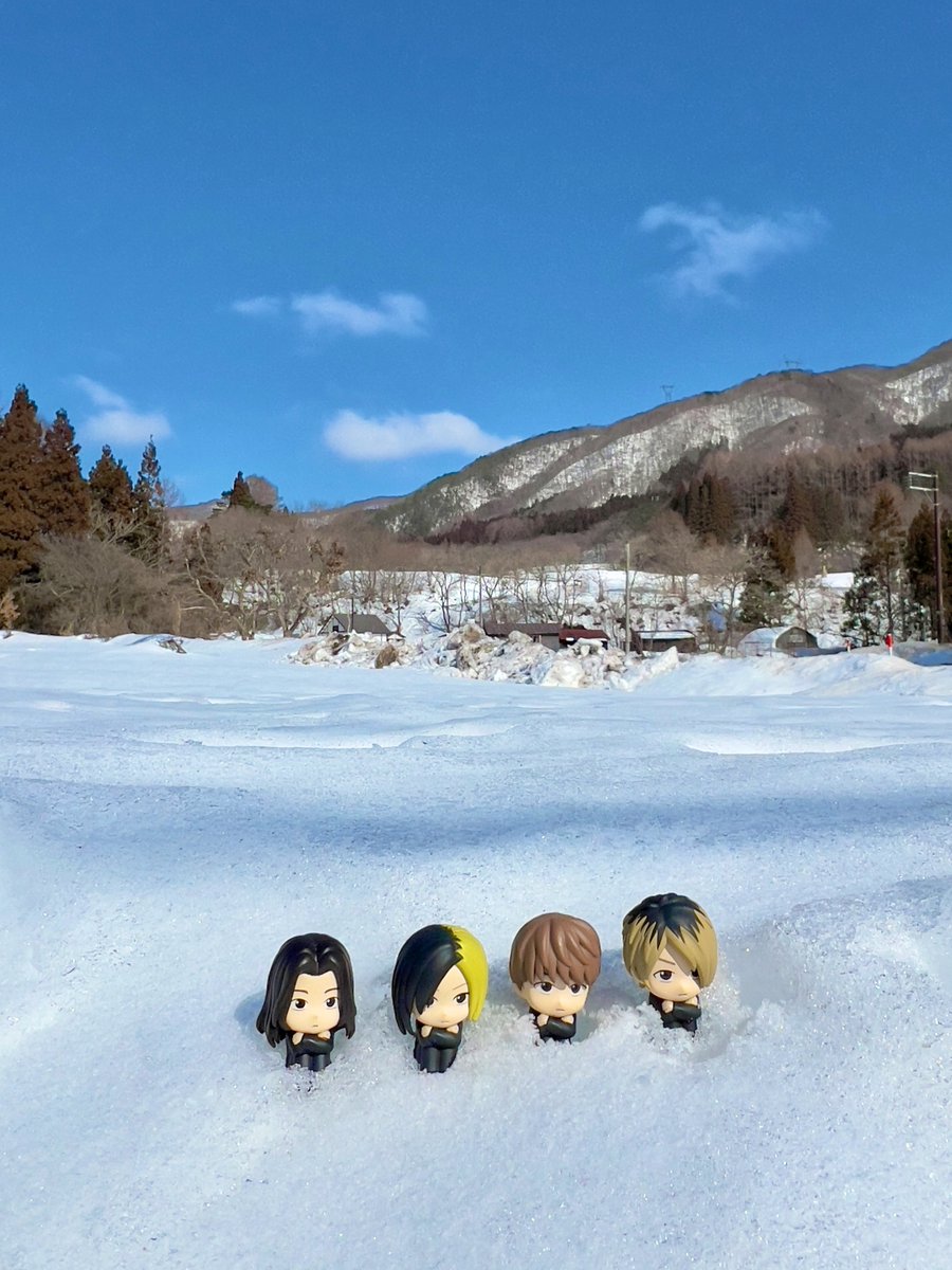 ろか💫Buddy tweet media