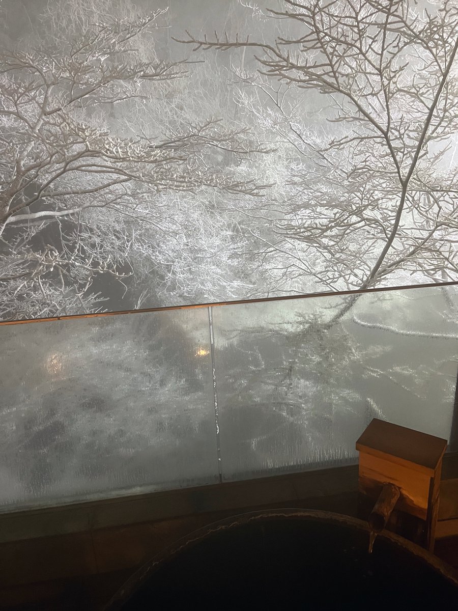 ろか💫Buddy tweet media