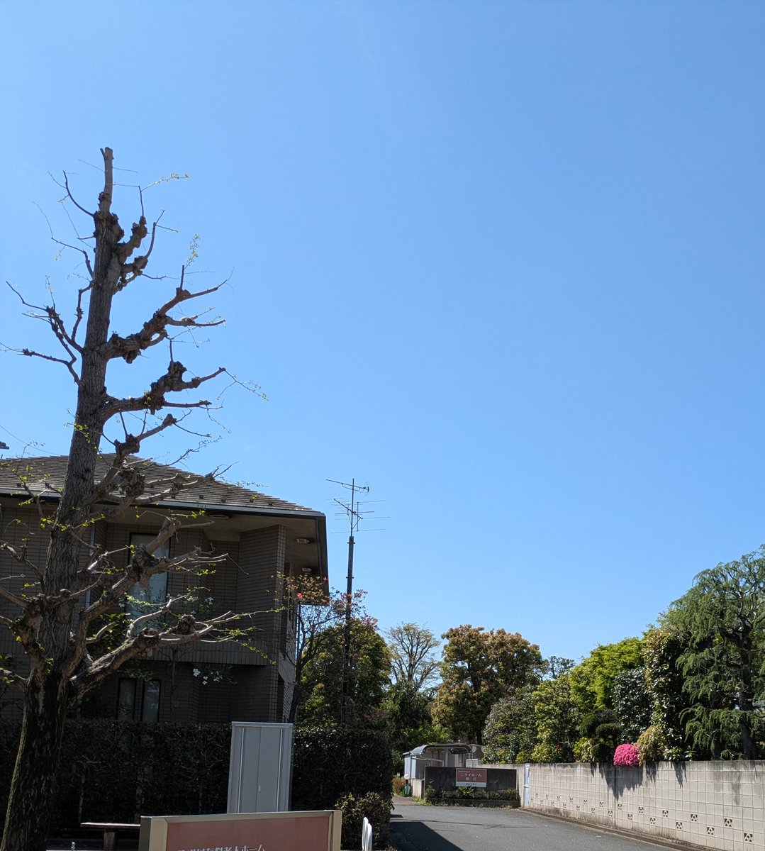 doisvolante310's tweet image. 最初の目的、予定より早く終了😁
皆さん元気で良かった😊
さて、これから高円寺へ向かいます🚃
#KITEN!(@kitenjp)
#17時過ぎ❓️
#楽しむことを止めるな✨️