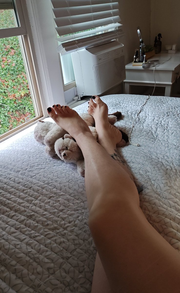 Queen Eevie 🩰 ✨ tweet media