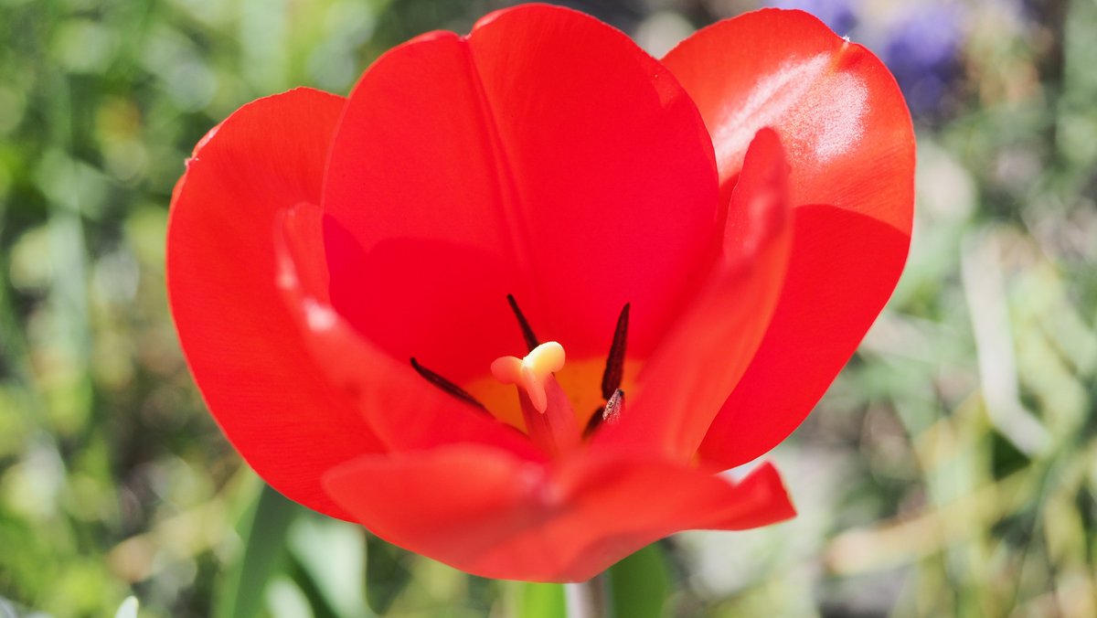 🐛まさん📷🌈 tweet media