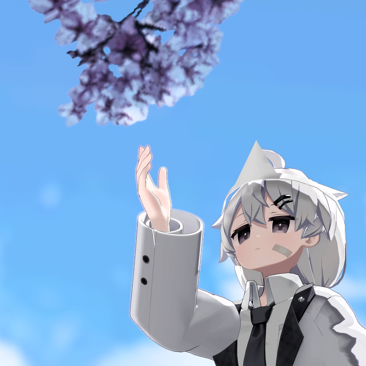 tyakuma (@4kpb5_u_44dyr2b) on Twitter photo 