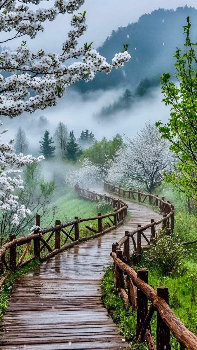 Prsamibcn's tweet image. #صباح_الخير #ⵜⵉⴼⴰⵡⵉⵏ #Buenos_Dias #Egun_on #Bon_Dia #goodmorning #Günaydın #おはよう_좋은아침이에요ً