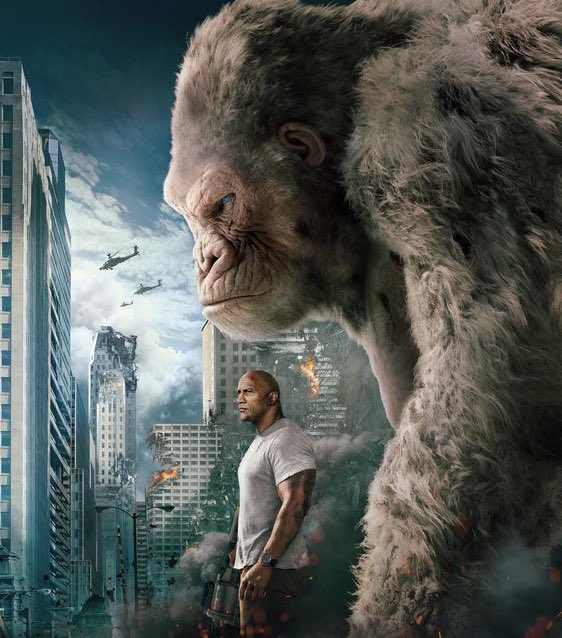 The Hollywood Handle tweet media