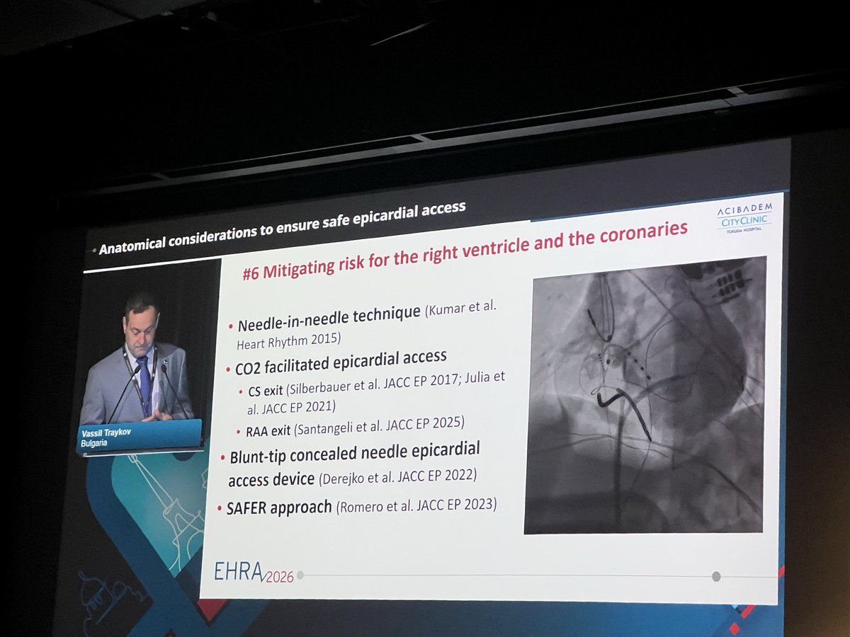 Vera Maslova tweet media