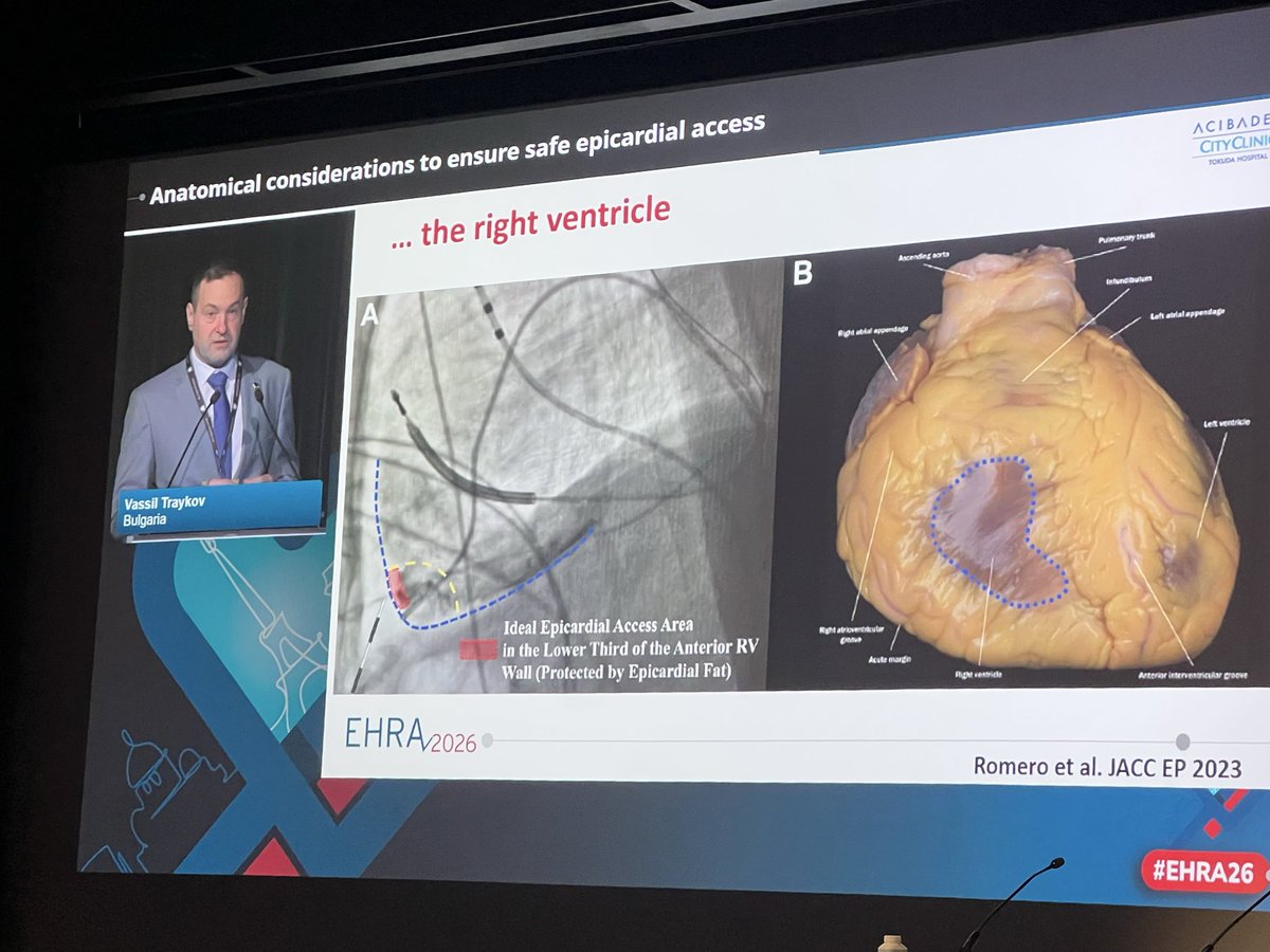 Vera Maslova tweet media