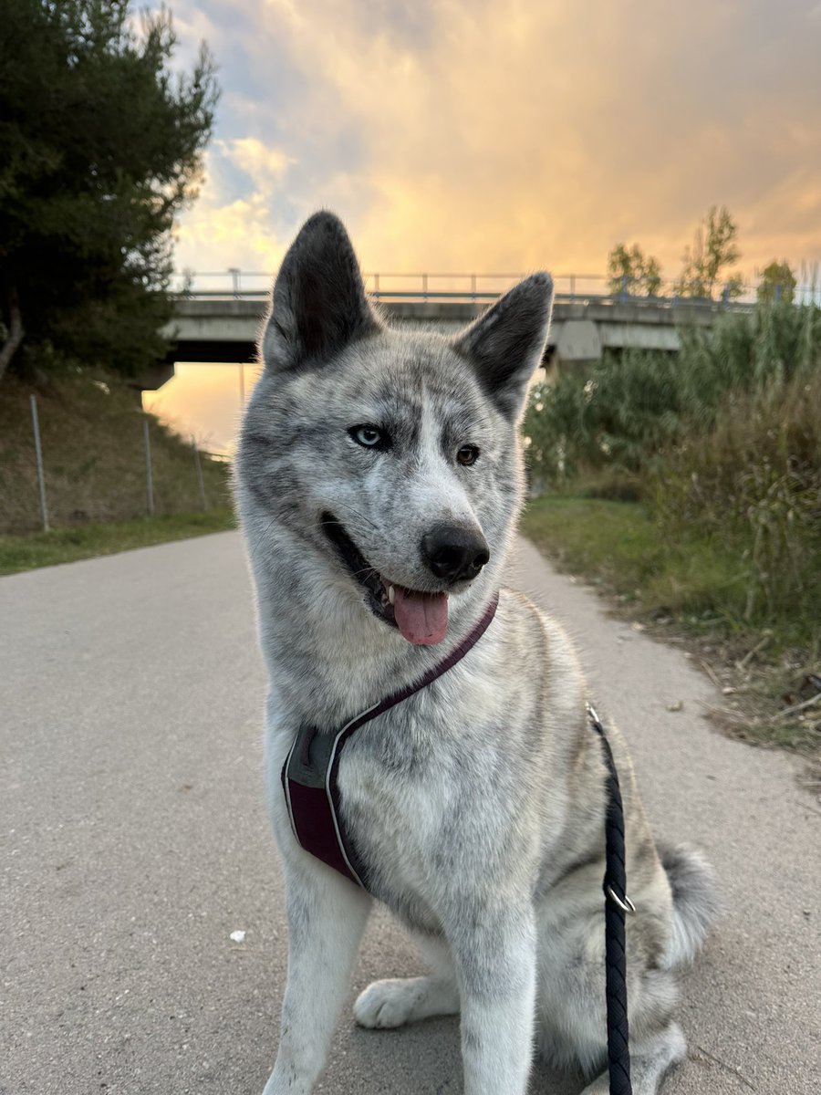 Laura 🌻 tweet media